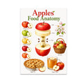 Apples Food Anatomy poster with an apple cross-section, varieties, blossoms, pie, and cider