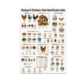 Backyard Chickens Field Identification Guide poster with illustrated hens, coops, feed, eggs, and supplies