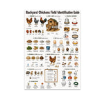 Backyard Chickens Field Identification Guide poster with illustrated hens, coops, feed, eggs, and supplies