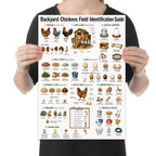 Person holding the backyard chickens field guide poster to show its layout