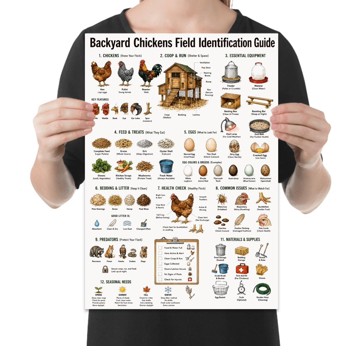 Person holding the backyard chickens field guide poster to show its layout