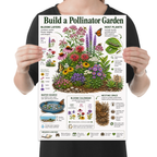 Build a Pollinator Garden poster with a colorful flower bed, bees, butterflies and labeled habitat sections shown in a held-poster mockup