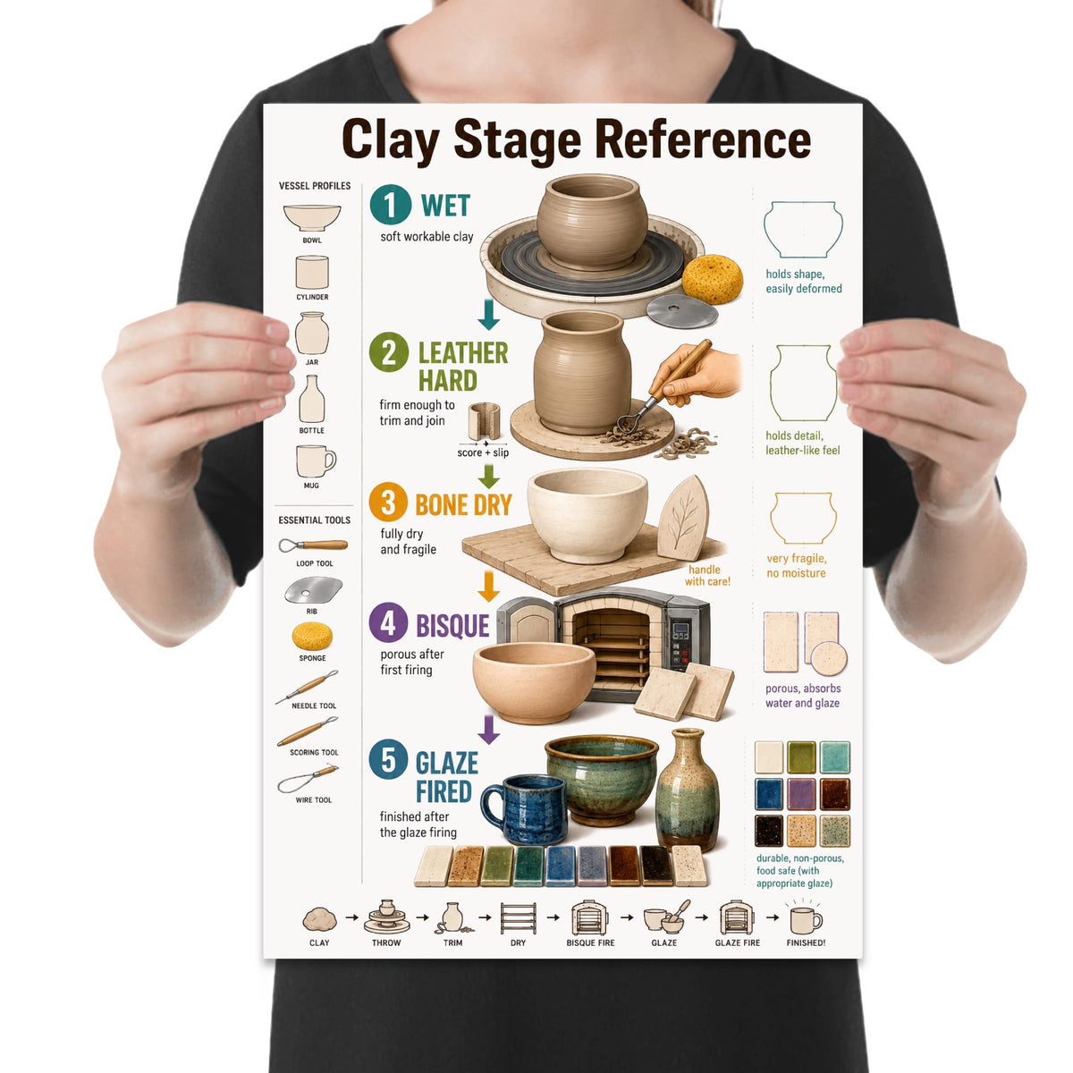 Clay Stage Reference poster showing wet, leather hard, bone dry, bisque, and glaze-fired pottery held by a person for scale
