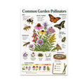 Common Garden Pollinators poster with bees, butterflies, flowers, a bloom calendar and garden observation section