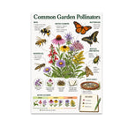Common Garden Pollinators poster with bees, butterflies, flowers, a bloom calendar and garden observation section