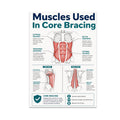 Muscles Used in Core Bracing poster with front, side and back anatomical diagrams and teal headings