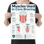 Muscles Used in Core Bracing poster with front, side and back anatomical diagrams and teal headings shown in a held-poster mockup