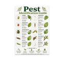 Garden Pest Identification Guide poster with ten labeled pests, leaf illustrations and a quick tips strip