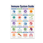 Immune System Guide poster with twenty colorful labeled cells, organs and body-defense illustrations