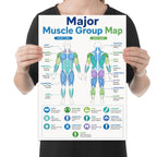 Major Muscle Group Map poster with front and back body diagrams, color-coded muscles and labeled reference icons shown in a held-poster mockup