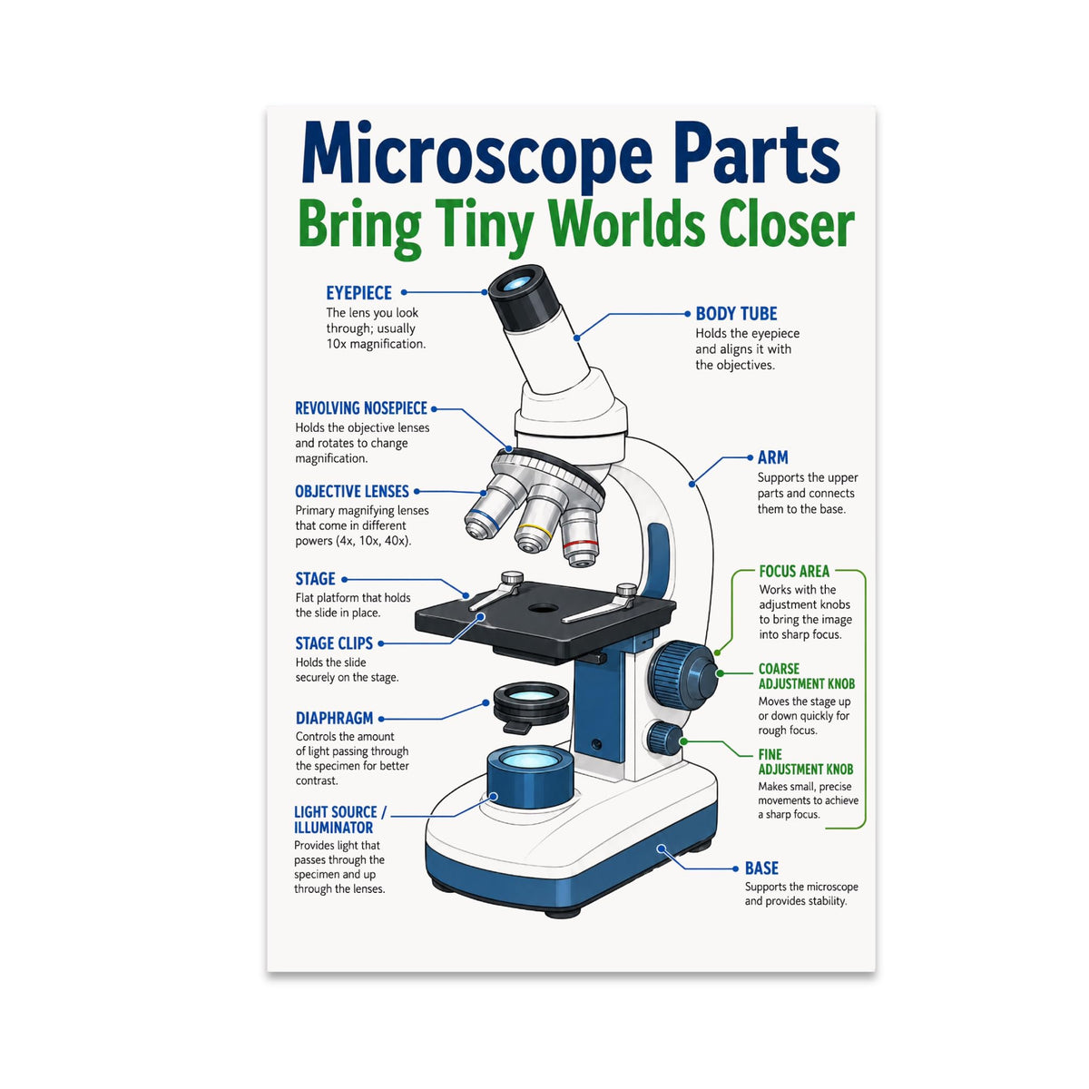 Microscope Parts poster with a blue-and-white microscope and labeled eyepiece, lenses, stage and adjustment knobs