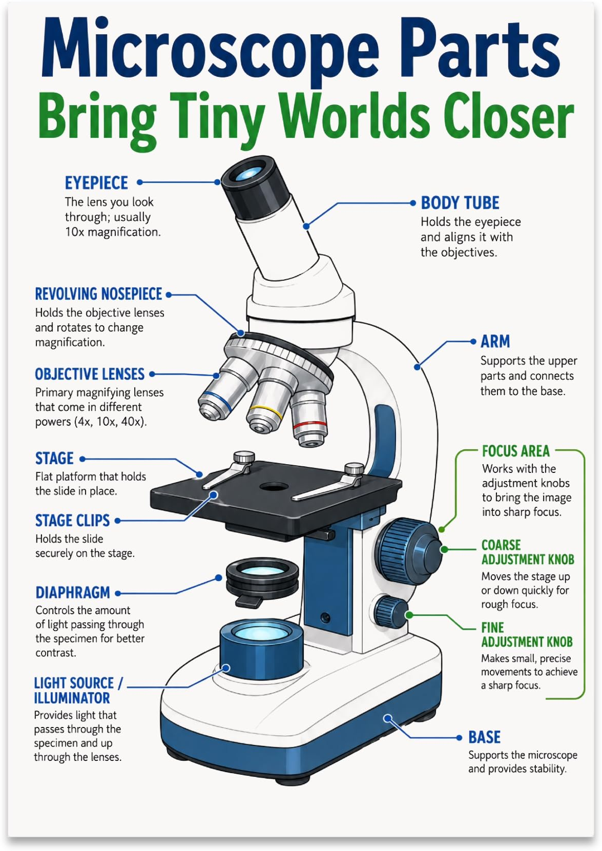 Microscope Parts poster with a blue-and-white microscope and labeled eyepiece, lenses, stage and adjustment knobs