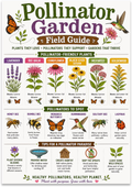 Pollinator Garden Field Guide poster with illustrated flowers, butterflies, bees, and garden habitat ideas
