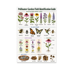 Pollinator Garden Field Identification Guide poster with flowers, bees, butterflies, hummingbird, and habitat illustrations
