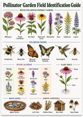 Pollinator Garden Field Identification Guide poster with flowers, bees, butterflies, hummingbird, and habitat illustrations