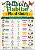 Pollinator Habitat Plant Guide poster with a green table of flowers, bloom times, and pollinator illustrations