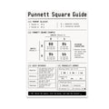 Punnett Square Guide poster with a Bb by Bb cross, four-cell grid and genetics probability tables