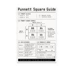 Punnett Square Guide poster with a Bb by Bb cross, four-cell grid and genetics probability tables
