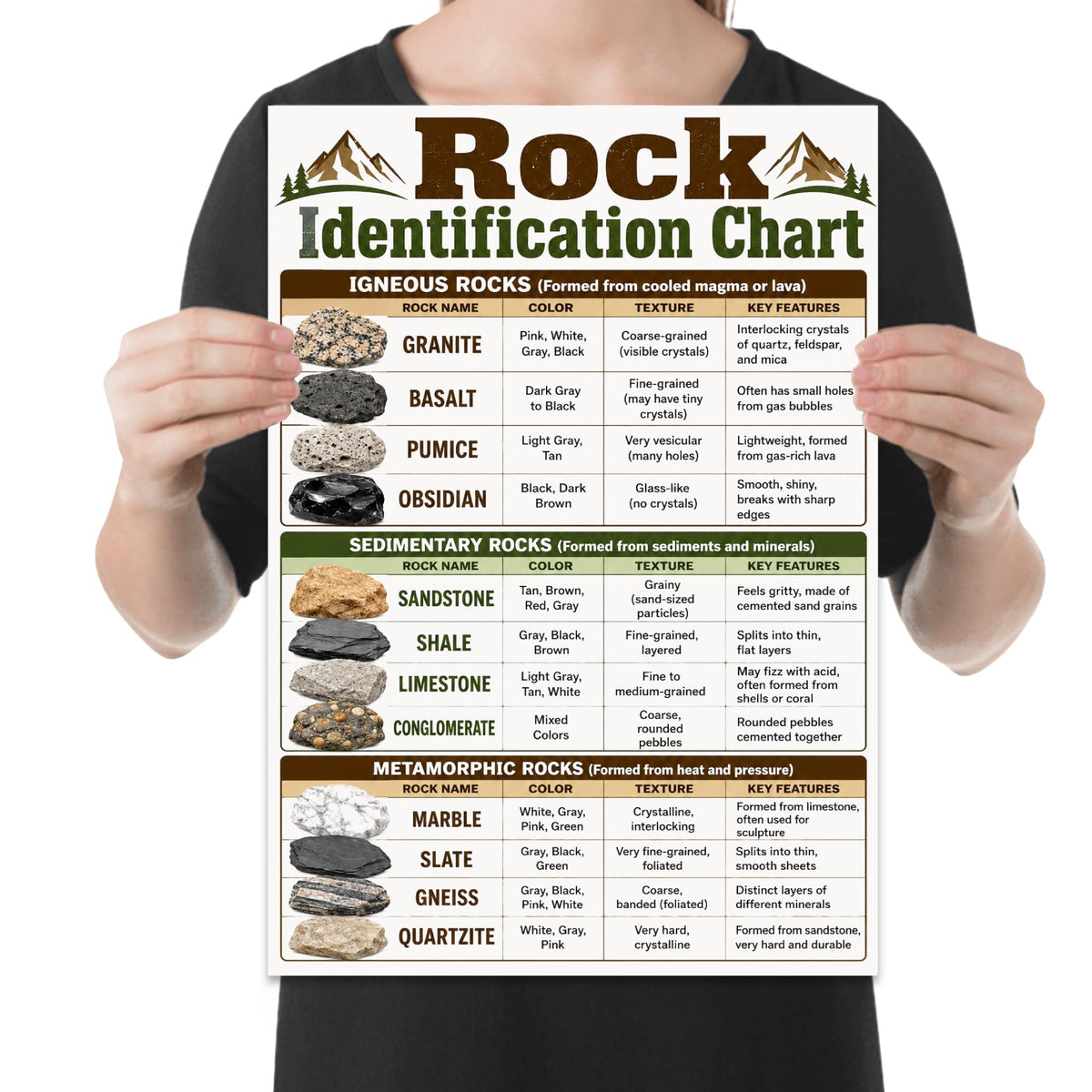 Rock Identification Chart poster with igneous, sedimentary and metamorphic rock examples in a labeled comparison table shown in a held-poster mockup
