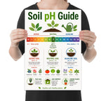 Soil pH Guide poster with a rainbow zero-to-fourteen scale, three soil pots and labeled plant examples shown in a held-poster mockup