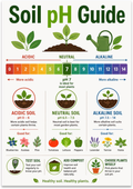 Soil pH Guide poster with a rainbow zero-to-fourteen scale, three soil pots and labeled plant examples