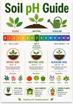 Soil pH Guide poster with a rainbow zero-to-fourteen scale, three soil pots and labeled plant examples