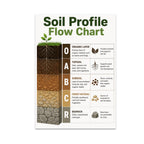 Soil Profile Flow Chart poster with an earthy cross-section and labeled O, A, B, C and R layers