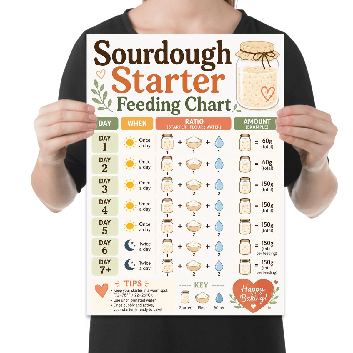 Sourdough Starter Feeding Chart poster with a seven-day example schedule and starter, flour, and water icons held by a person for scale