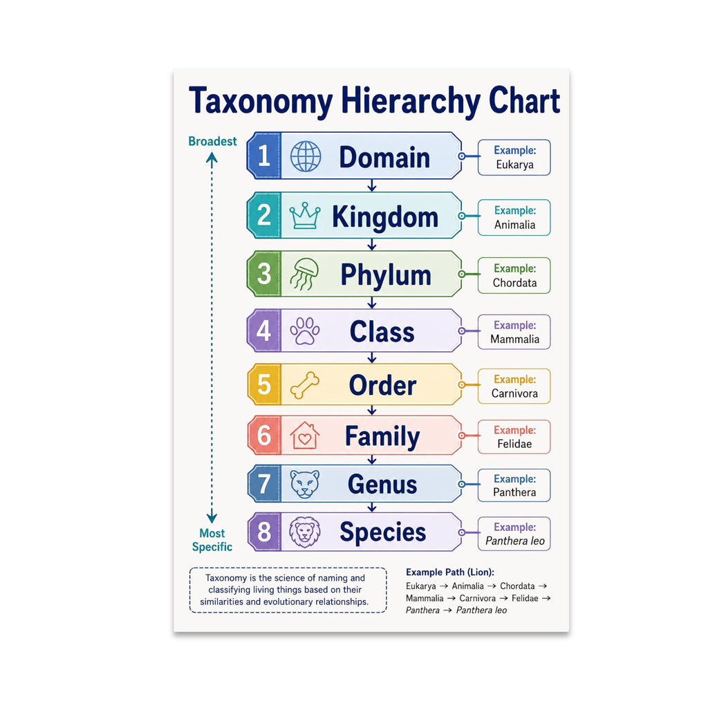Taxonomy Hierarchy Chart poster with eight colored levels from domain to species and a lion classification example