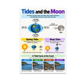 Tides and the Moon poster with corrected high-tide labels, spring and neap tide diagrams, and coastal scenes