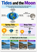Tides and the Moon poster with corrected high-tide labels, spring and neap tide diagrams, and coastal scenes