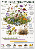 Year-Round Pollinator Garden poster with flowers, bees, butterflies, seasonal bloom notes and a calendar strip